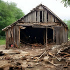 картинка квиза